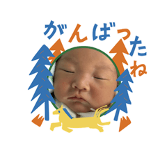 みゆころだよん