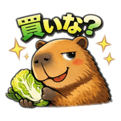 molokoshi_20260205234227