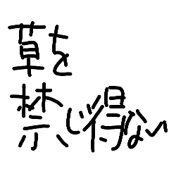 yochan_20260206000211