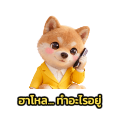 Jaobo shiba_20260208105959