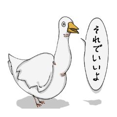 nekodesuka_20260206013318