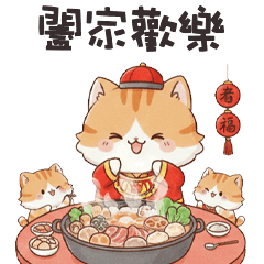 lovely baby cat cat 2L