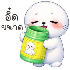 Chubby Seal (Kum-muang)