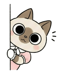 Cat Duo Duo: Inner Monologue