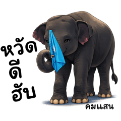 ช้างตระกูลแสน..รายงานตัว (2)