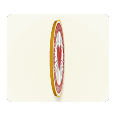 幸運金幣銀幣彩色背景動態貼圖