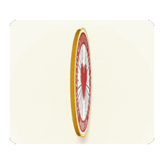 GOLD SILVER COIN COLOR DYNAMIC STICKER.