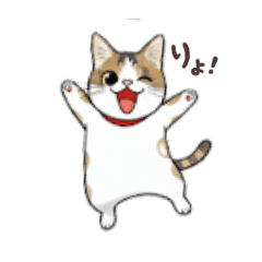 KJ502_20260208133009