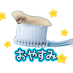 anone_20260206032016