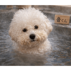 otokun_20260206072631