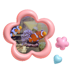 taketake_20260206074414