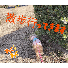 miyoko_20260208195818