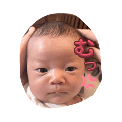 sonoko_20260208034632