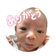 chiii_20260208032447