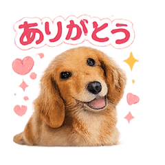 ryushin_20260207195822