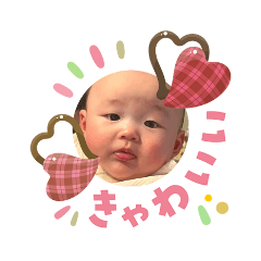 kohakumaru_20260208002046