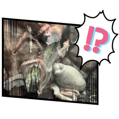 TAKUMI_20260208001007