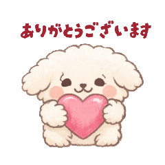 manamaru_20260208001922