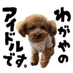 merci and life_20260208005130