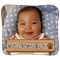 Creator_20260208005242