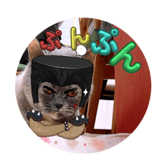 yama._20260208092747