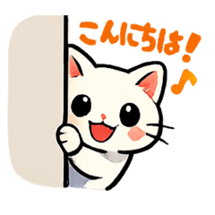 konyu_20260208093742