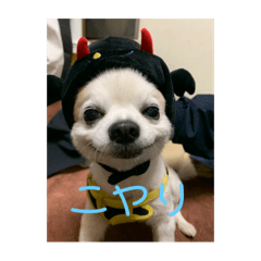 ryoko_20260208093836