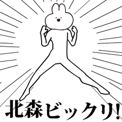 Rabbit Name kitamori.moves!