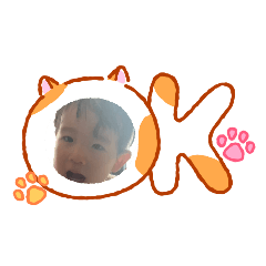 oky_20260208163318