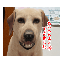 honoka_20260208202157