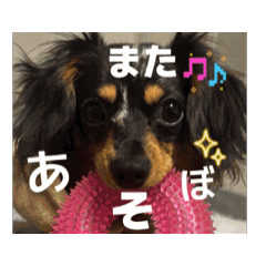 kana._20260208215307