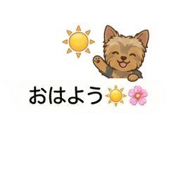 Happy Star_20260205104939