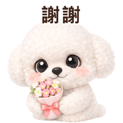 Everyday Words Bichon Frise TC