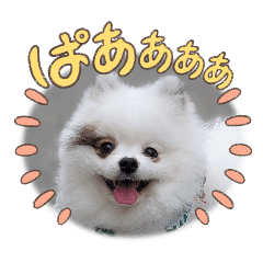 Kaakun Discovery_20260206051941