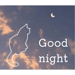 Hi aware_20260206103759