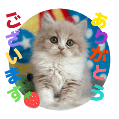 Shigeyuki koketsu_20260206111001