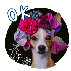 Koume & Anzu Daily Life Sticker