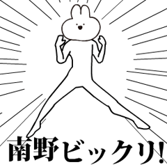 Rabbit Name minamino nouno.moves!