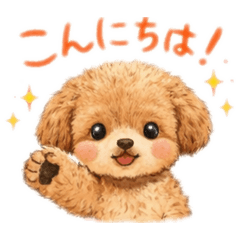 kirara_20260206162038