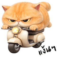 น้องส้ม แมวอ้วน (บิ๊กสติกเกอร์)