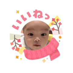 morikawa_20260208090024