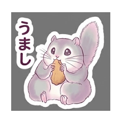 ファンシーなエゾモモンガ