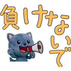 Animated Polite British Shorthair  12