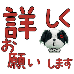 Polite Japanese Chin  11