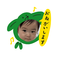 akita_20260208101505