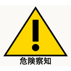 Iruka_20260208131506