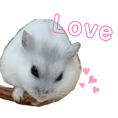 omochi_20260206201720