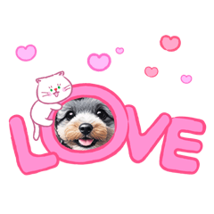 Hiromu Sora  Sticker Lab._20260206193302