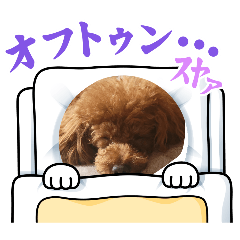 Shimo.family_20260206202510