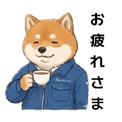 morishi_20260206202258